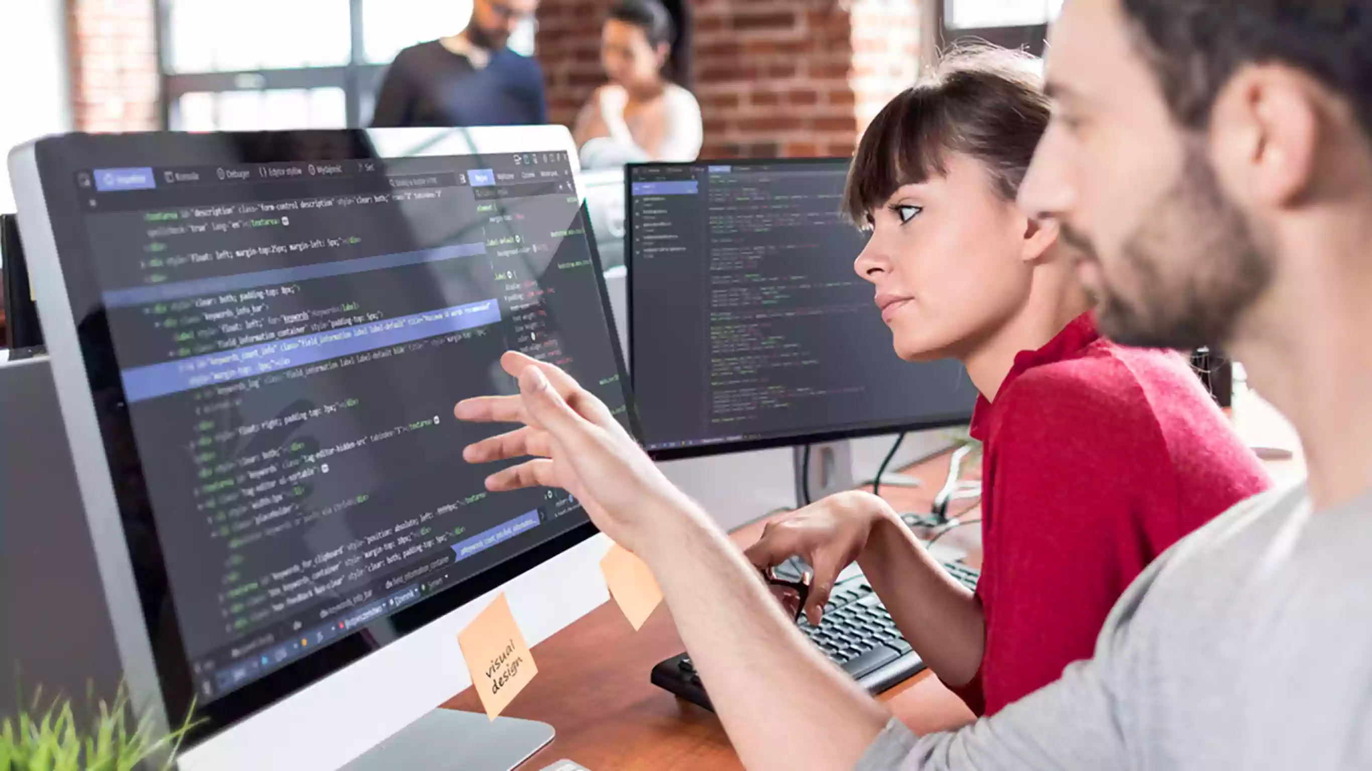 Software Development